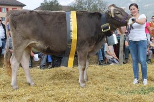 141004Altdorf 108